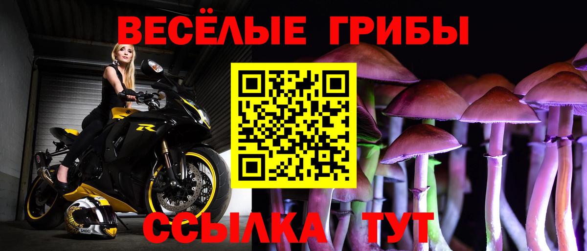 как найти наркотики  Галлюциногенные грибы Cubensis  Вход с VPN  Асбест 